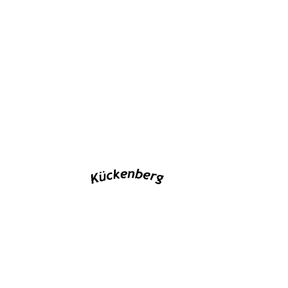 k11